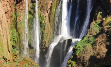 waterfalls in the middle of the forest during daytime