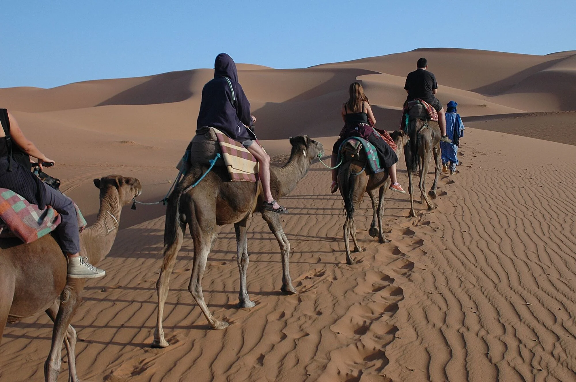 morocco camel trek