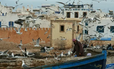 Essaouira
