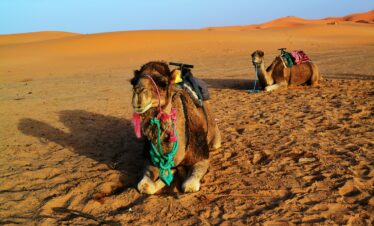 Morocco desert