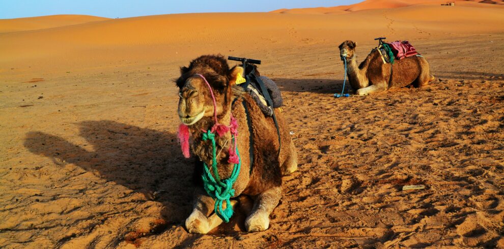 Morocco desert