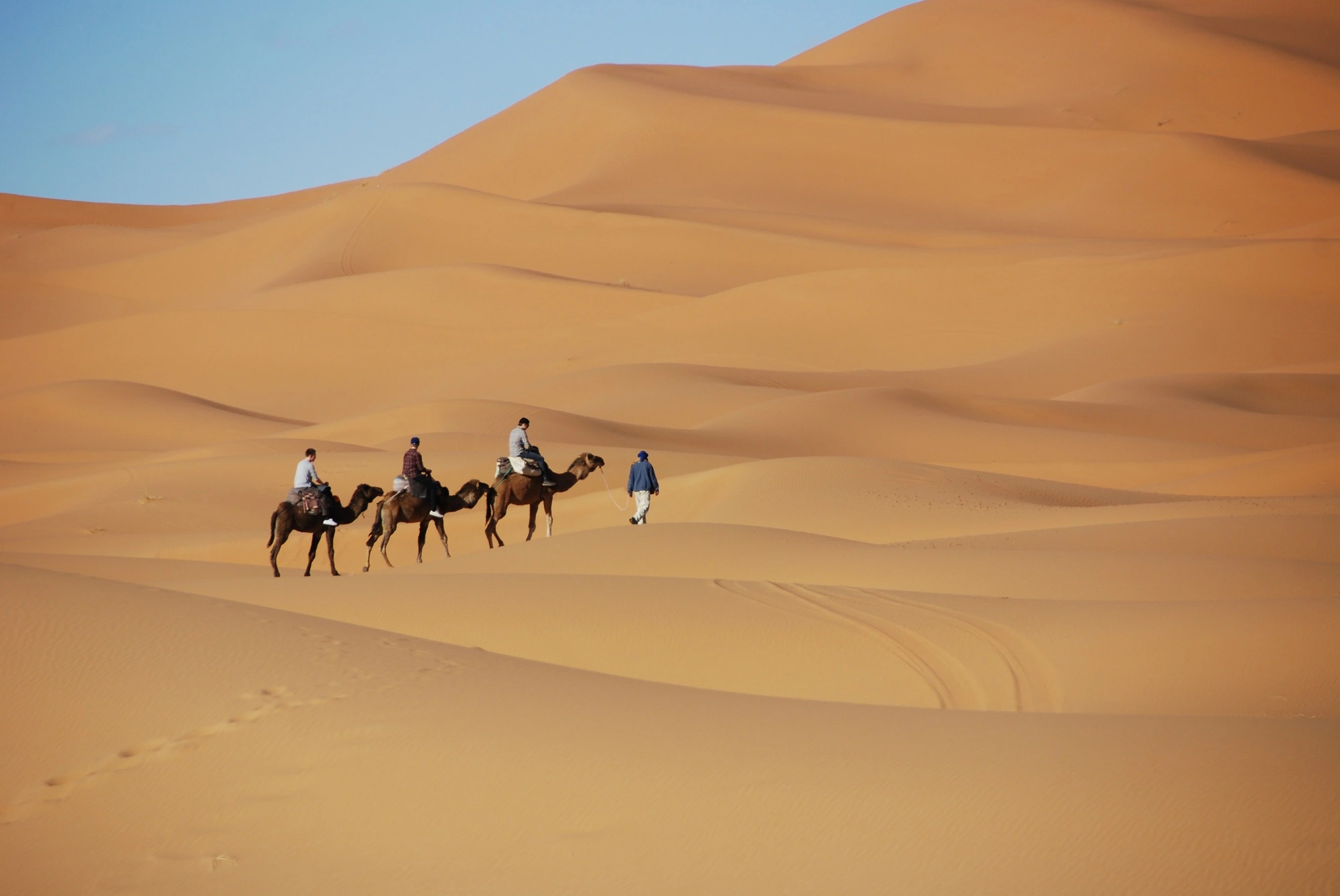 6 days Marrakech desert tour