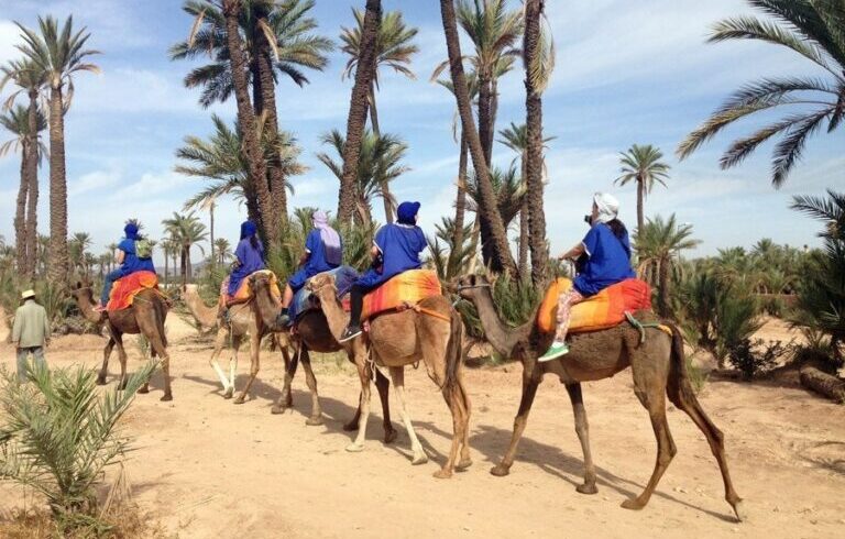 Camel Ride in Marrakech Palm Grove