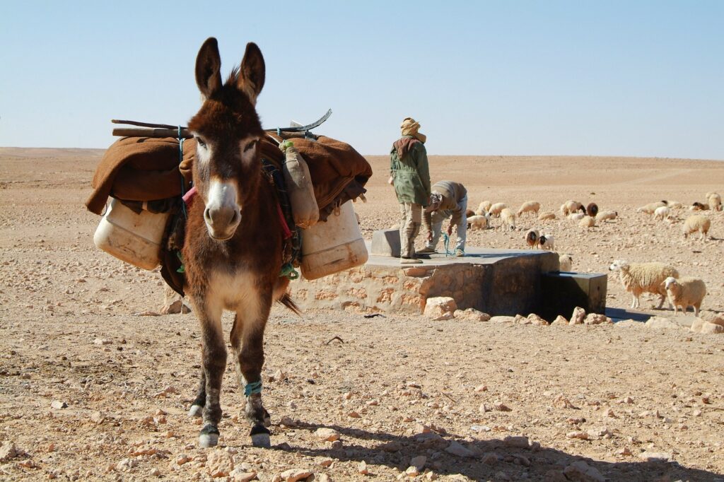 Morocco desert tour