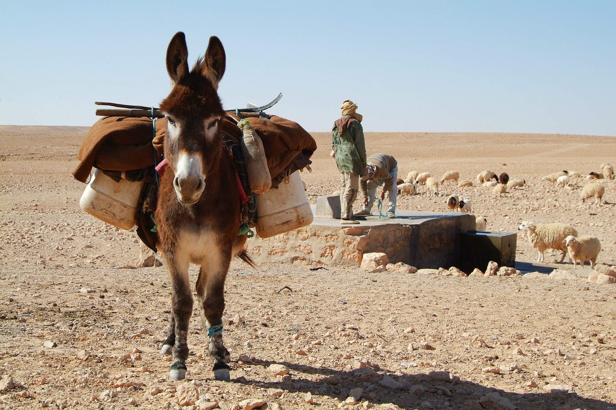 Morocco desert tour