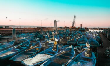 blue and white boats on dock during daytime