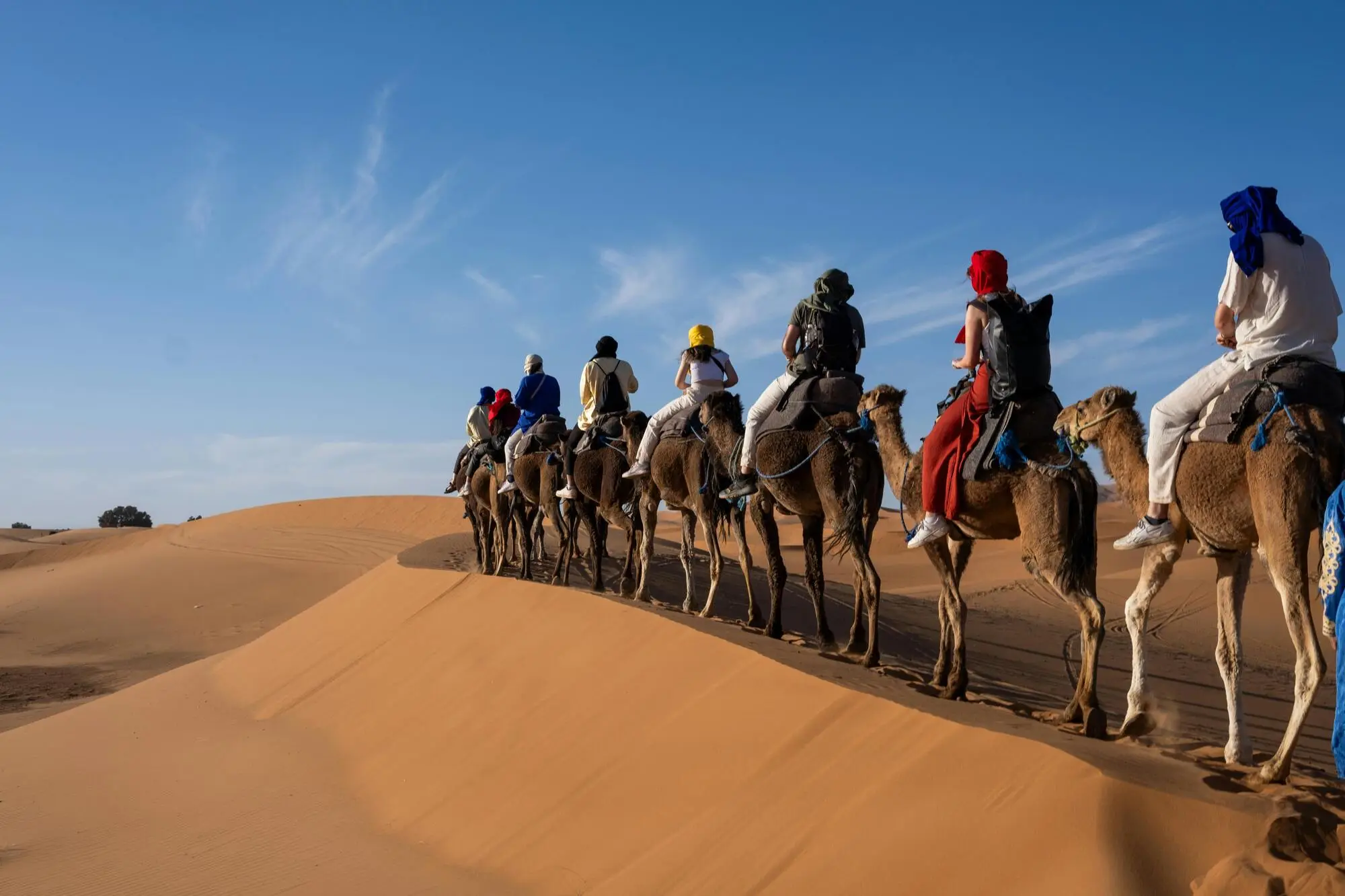 Morocco best trip