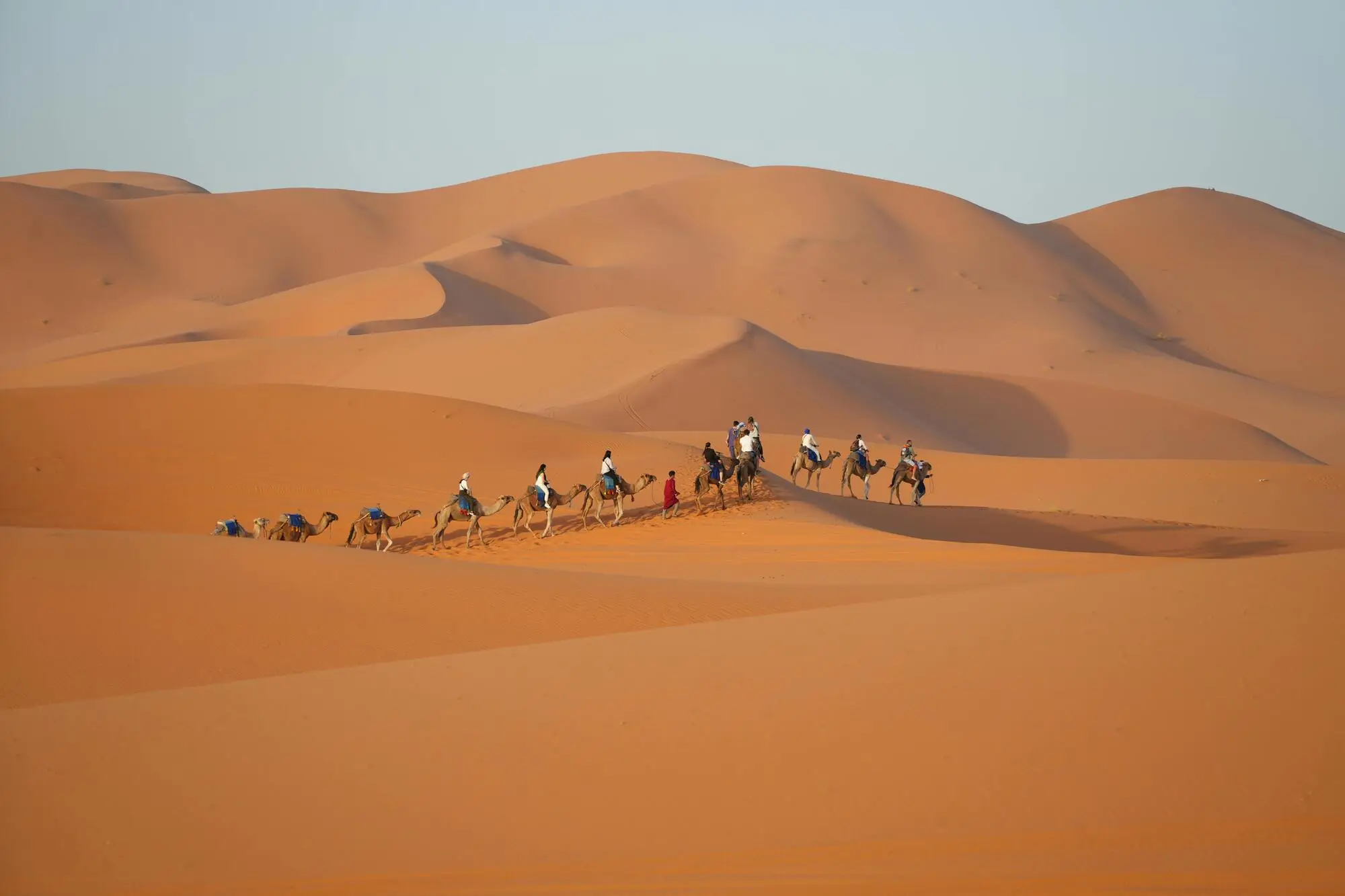 Merzouga camel ride