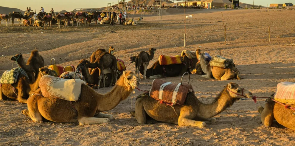 4 days private tour from Casablanca