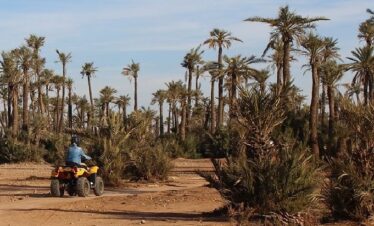 Marrakech Palm Grove Quad Biking Adventure