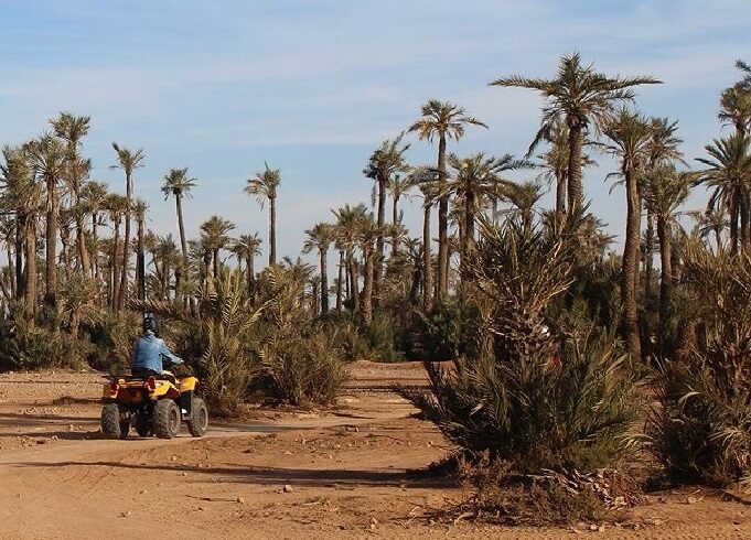 Marrakech Palm Grove Quad Biking Adventure