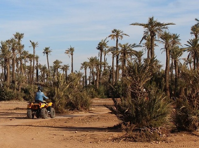 Marrakech Palm Grove Quad Biking Adventure