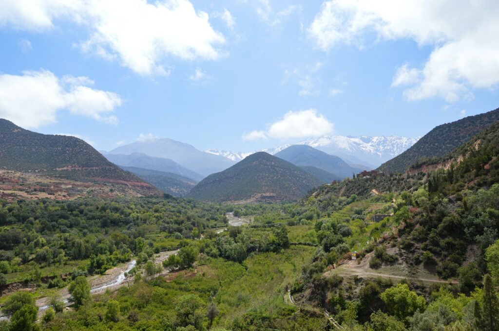 a valley with mountains in the background