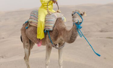 Agafay Desert Camel Ride