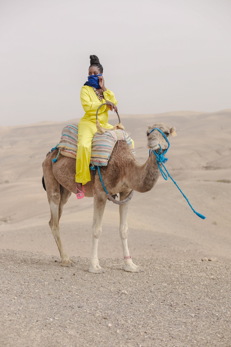 Agafay Desert Camel Ride