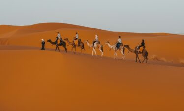 a group of people riding camels across a desert
