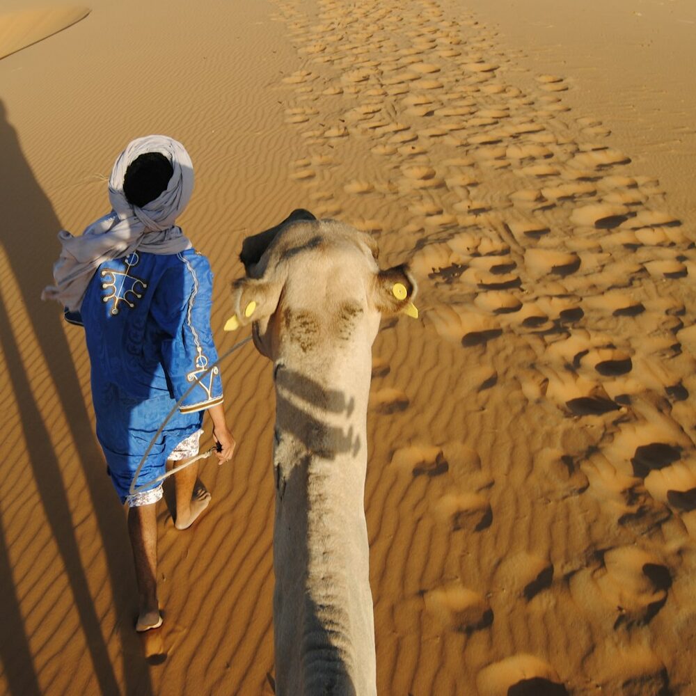 morocco tour